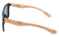 Revers polarized 06-11 bok.jpg
