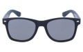 Revers polarized 03-1M przód.jpg