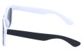 Revers polarized 01-4 bok.jpg