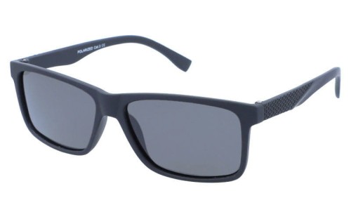 Revers polarized 19-1 skos.jpg