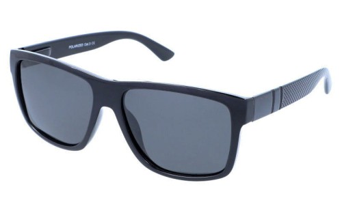 Revers polarized 20-1 skos.jpg