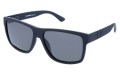 Revers polarized 20-1M skos.jpg