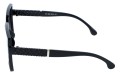 Revers polarized 225-1 bok.jpg