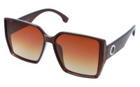 Revers Polarized 224-2