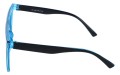 Revers polarized 223-10 bok.jpg