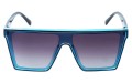 Revers polarized 223-10 przód.jpg