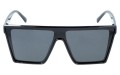 Revers polarized 223-1 przód.jpg