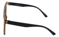 Revers polarized 223-2 bok.jpg