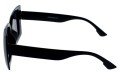 Revers polarized 221-1 bok.jpg