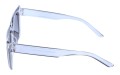 Revers polarized 220-3 bok.jpg