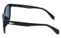 Revers polarized 218-1 bok.jpg