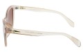 Revers polarized 218-15 bok.jpg