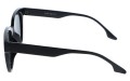 Revers polarized 217-1 bok.jpg