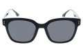 Revers polarized 217-1 przód.jpg