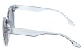 Revers polarized 217-3 bok.jpg