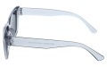 Revers polarized 216-3 bok.jpg