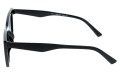 Revers polarized 215-1 bok.jpg