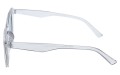 Revers polarized 215-3 bok.jpg