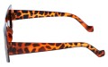 Revers polarized 214-13 bok.jpg