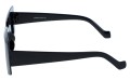 Revers polarized 214-1 bok.jpg