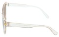 Revers polarized 211-2 bok.jpg