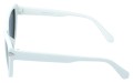 Revers polarized 211-5 bok.jpg