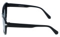 Revers polarized 211-1 bok.jpg