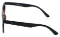 Revers polarized 209-13 bok.jpg