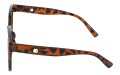 Revers polarized 208-13 bok.jpg