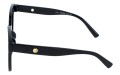 Revers polarized 208-1 bok.jpg