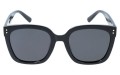 Revers polarized 208-1 przód.jpg