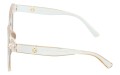 Revers polarized 208-15 bok.jpg
