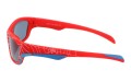 Dino junior 171-8 bok.jpg