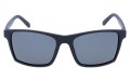 Revers polarized 43-1M przód.jpg