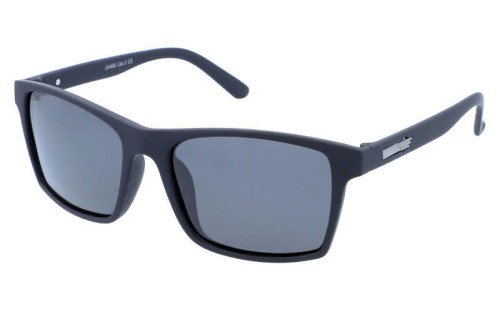Revers polarized 43-1M skos.jpg