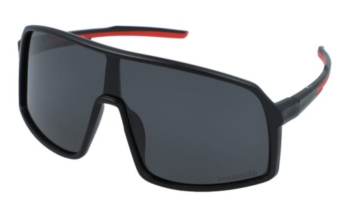 Polarzone 461-8 skos.jpg