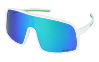 PolarZone 463-11 z etui