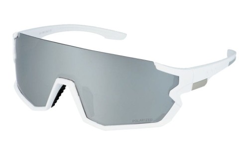 Polarzone 453a-4 skos.jpg
