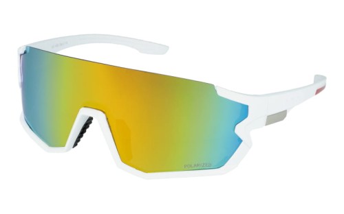 Polarzone 453a-8 skos.jpg