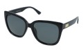 Revers polarized 228-1 skos.jpg