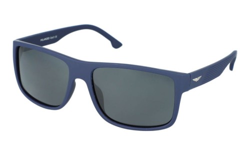Polarzone 933-10M skos.jpg