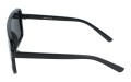 Revers polarized 46-1 bok.jpg