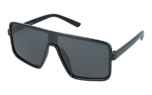 Revers polarized 46-1 skos.jpg