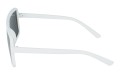 Revers polarized 47-4 bok.jpg