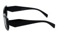 Revers polarized 234-1 bok.jpg