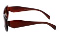 Revers polarized 234-2 bok.jpg