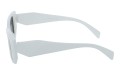Revers polarized 234-5 bok.jpg