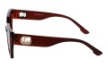 Revers polarized 232-2 bok.jpg