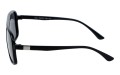 Revers polarized 49-1 bok.jpg