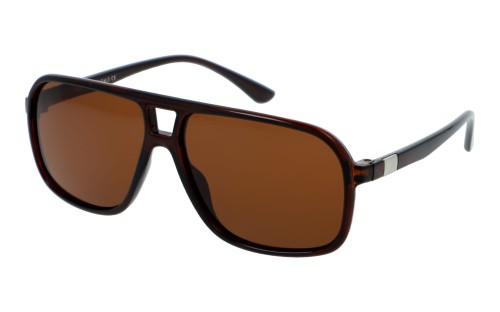 Revers polarized 49-2 skos.jpg